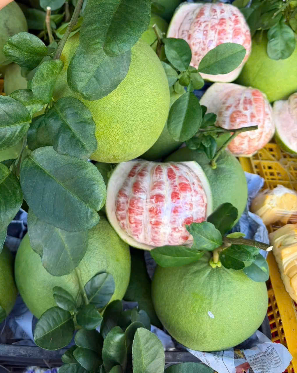 Buoi Mui Hong