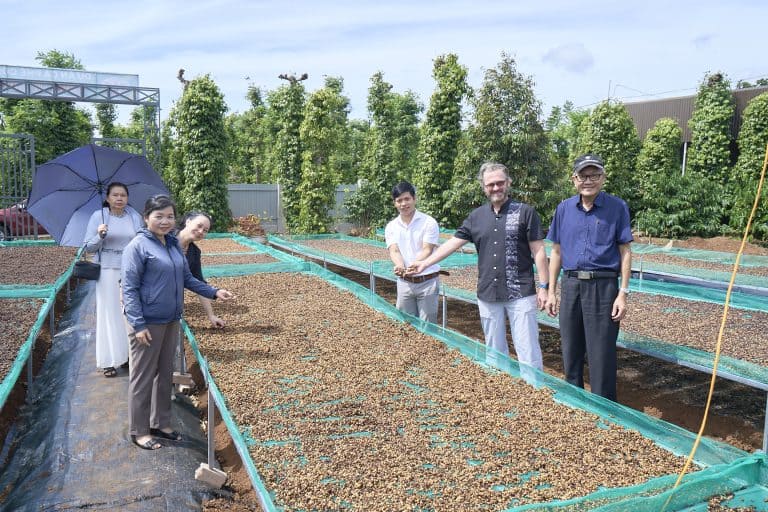 Coffee Drying Yard Team